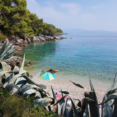 Robinson Crusoe Holiday House Zastražišće Buitenkant foto